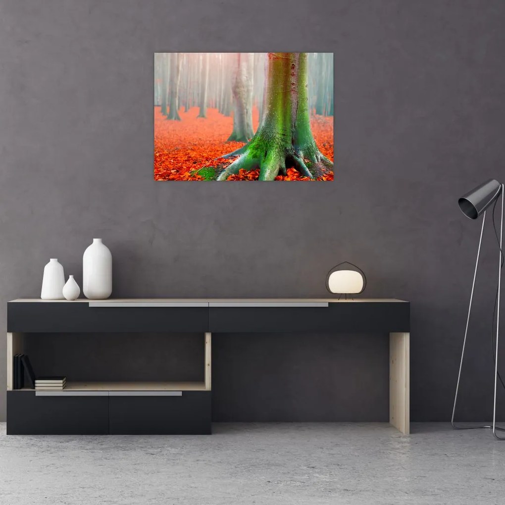 Obraz na szkle - drzewa (70x50 cm)