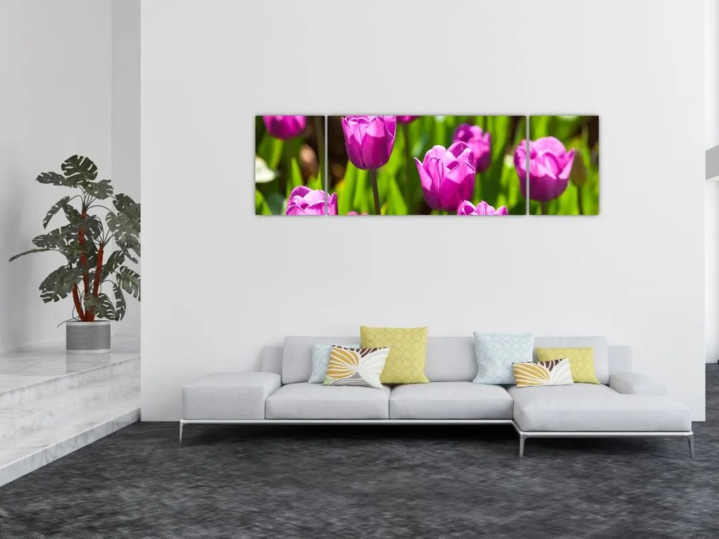 Obraz tulipanów na łące (170x50 cm)