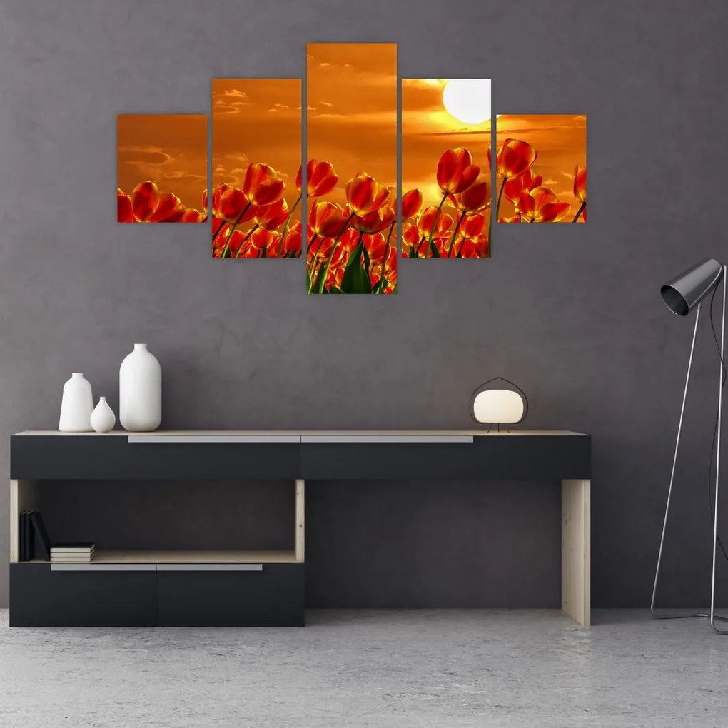 Obraz kwitnącego pola z tulipanami (125x70 cm)