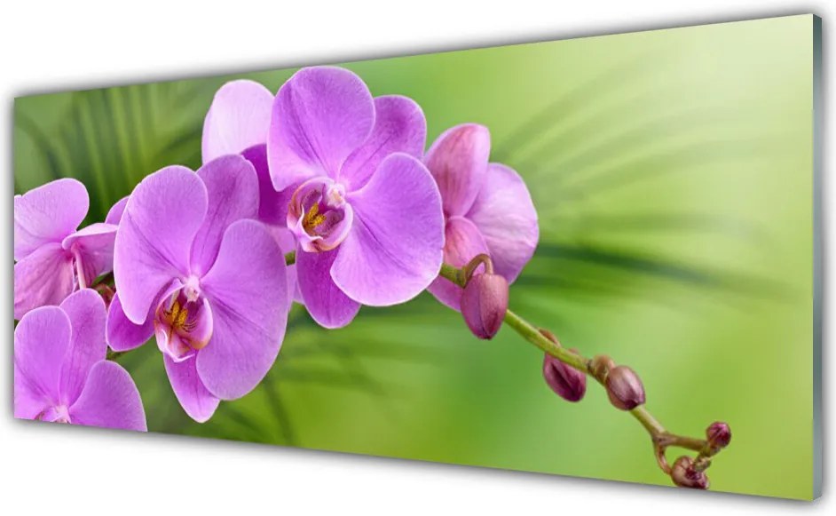 Panel Szklany Szlachetna Elegancja Storczyka