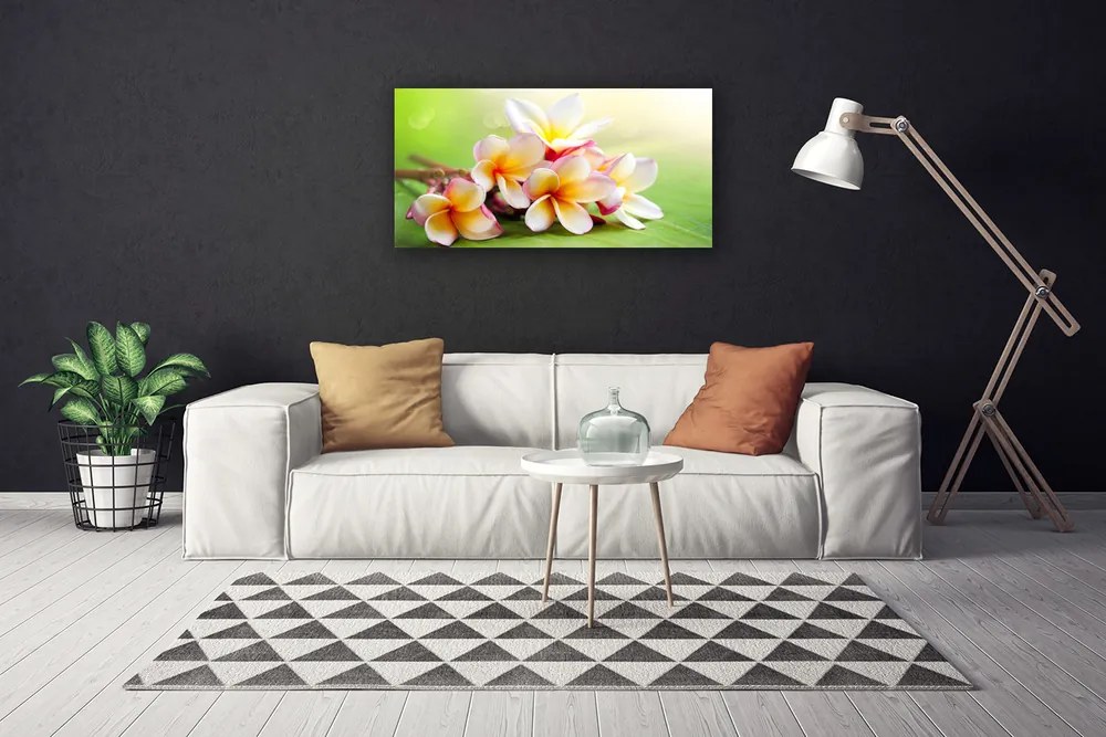Obraz Canvas Kwiaty Roślina Natura