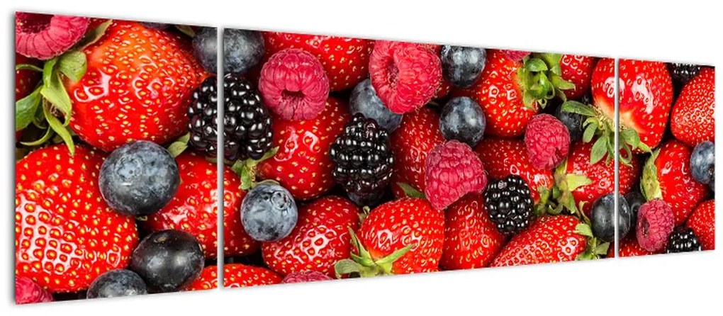 Obraz - Ładunek owoców (170x50 cm)