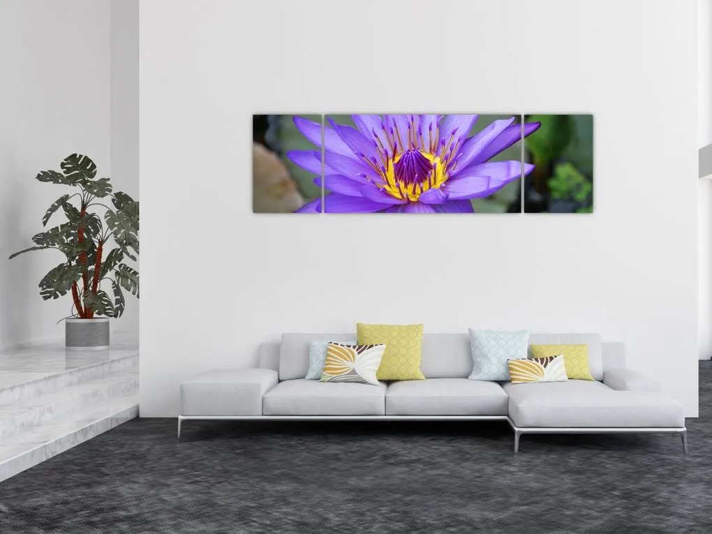 Obraz - Fioletowy kwiat (170x50 cm)