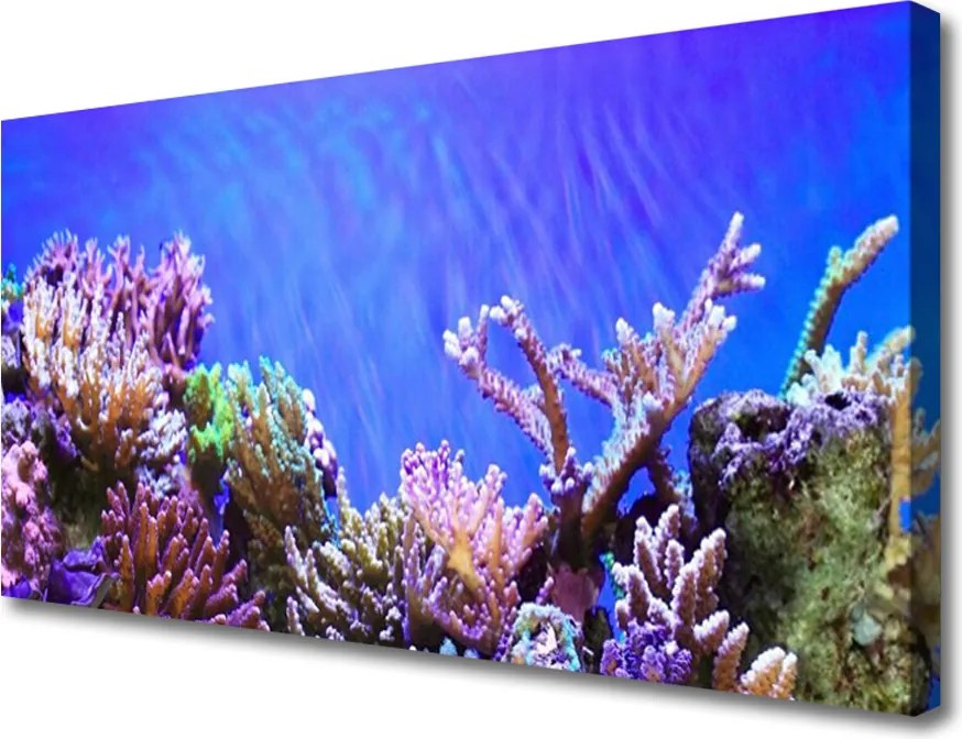 Obraz canvas Podwodny Świat Rafy Koralowej