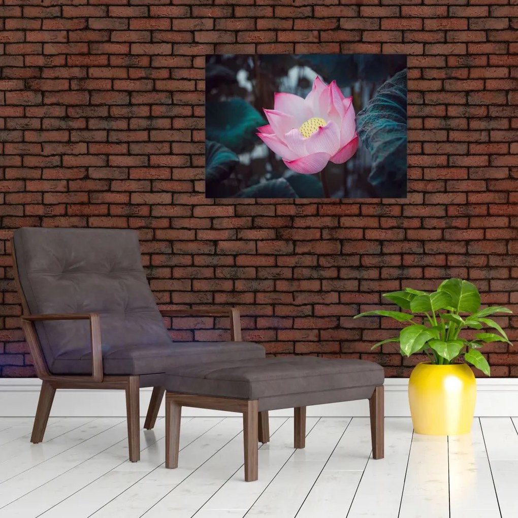 Obraz różowego kwiatu (70x50 cm)