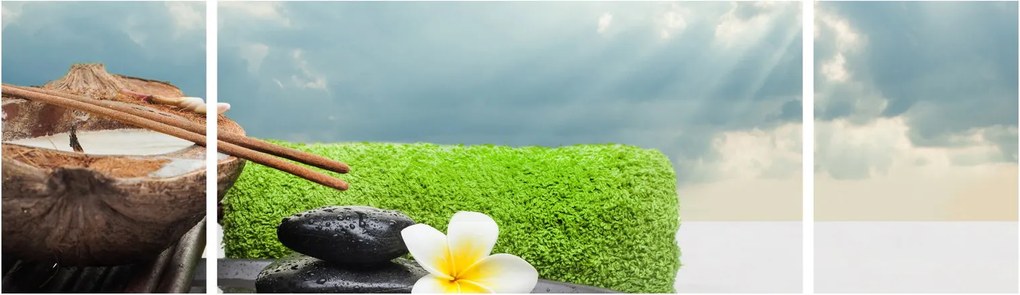 Obraz - Spa and relakx (170x50 cm)