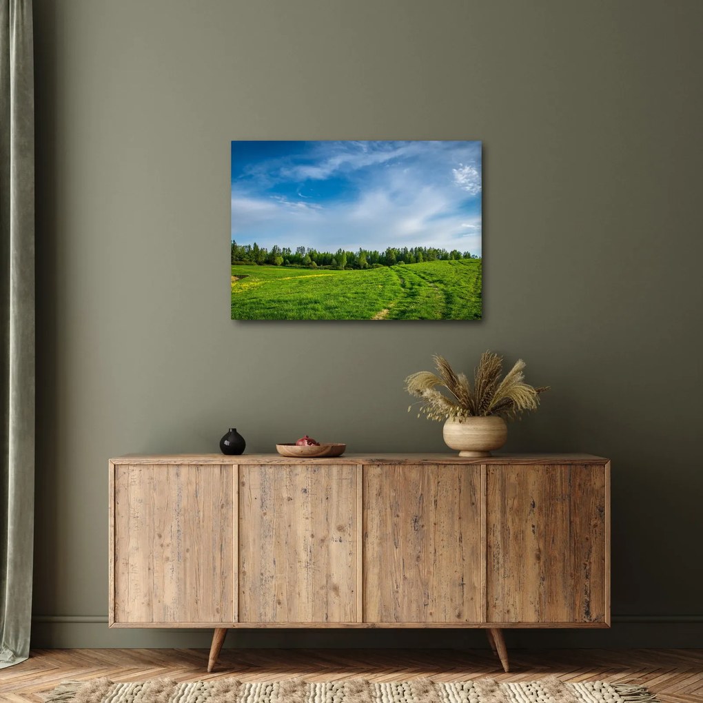Obraz łąki (70x50 cm)
