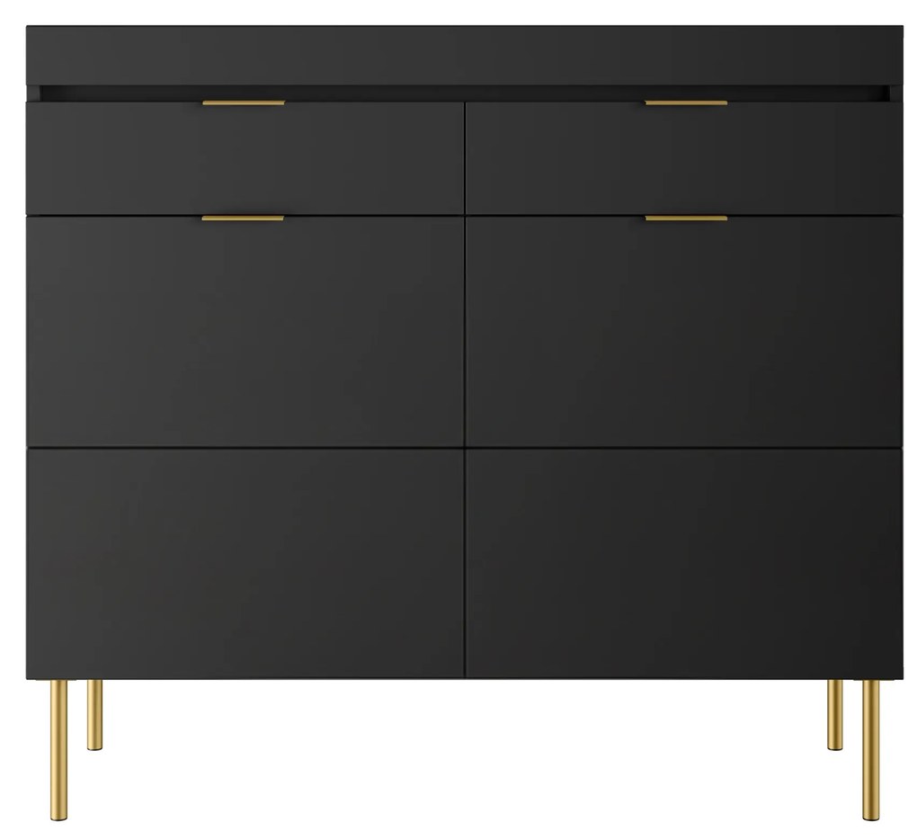 Komoda dwudrzwiowa Sentia 105 z dwoma szufladami - czarny / złoty