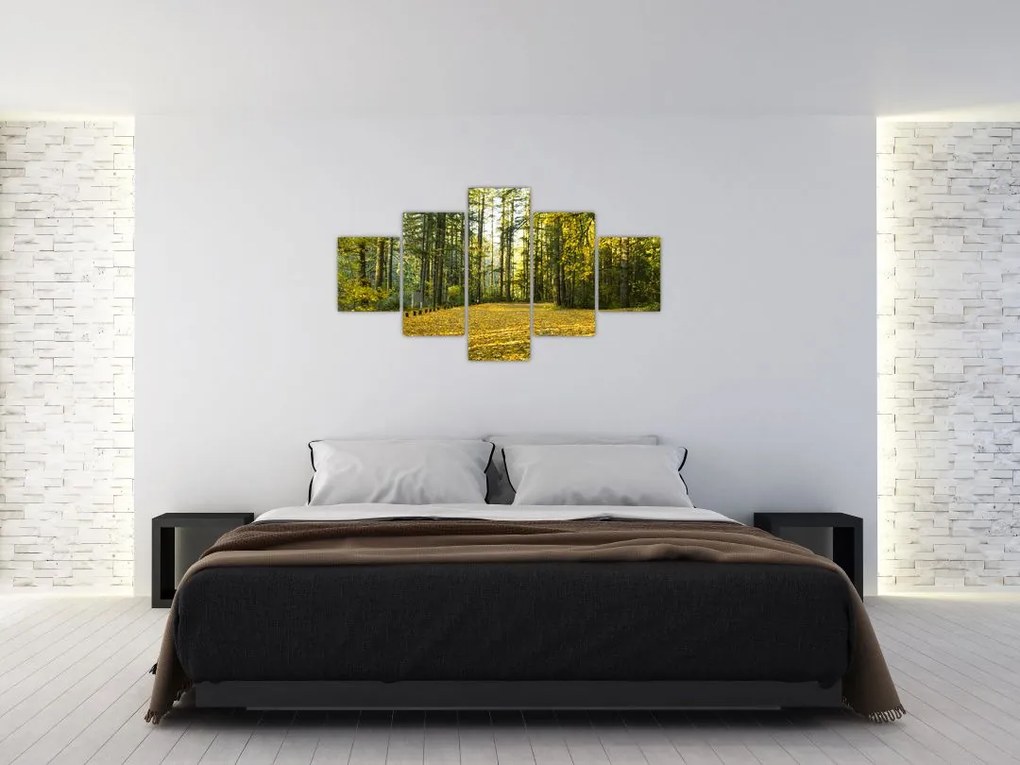 Obraz - las jesienią (125x70 cm)
