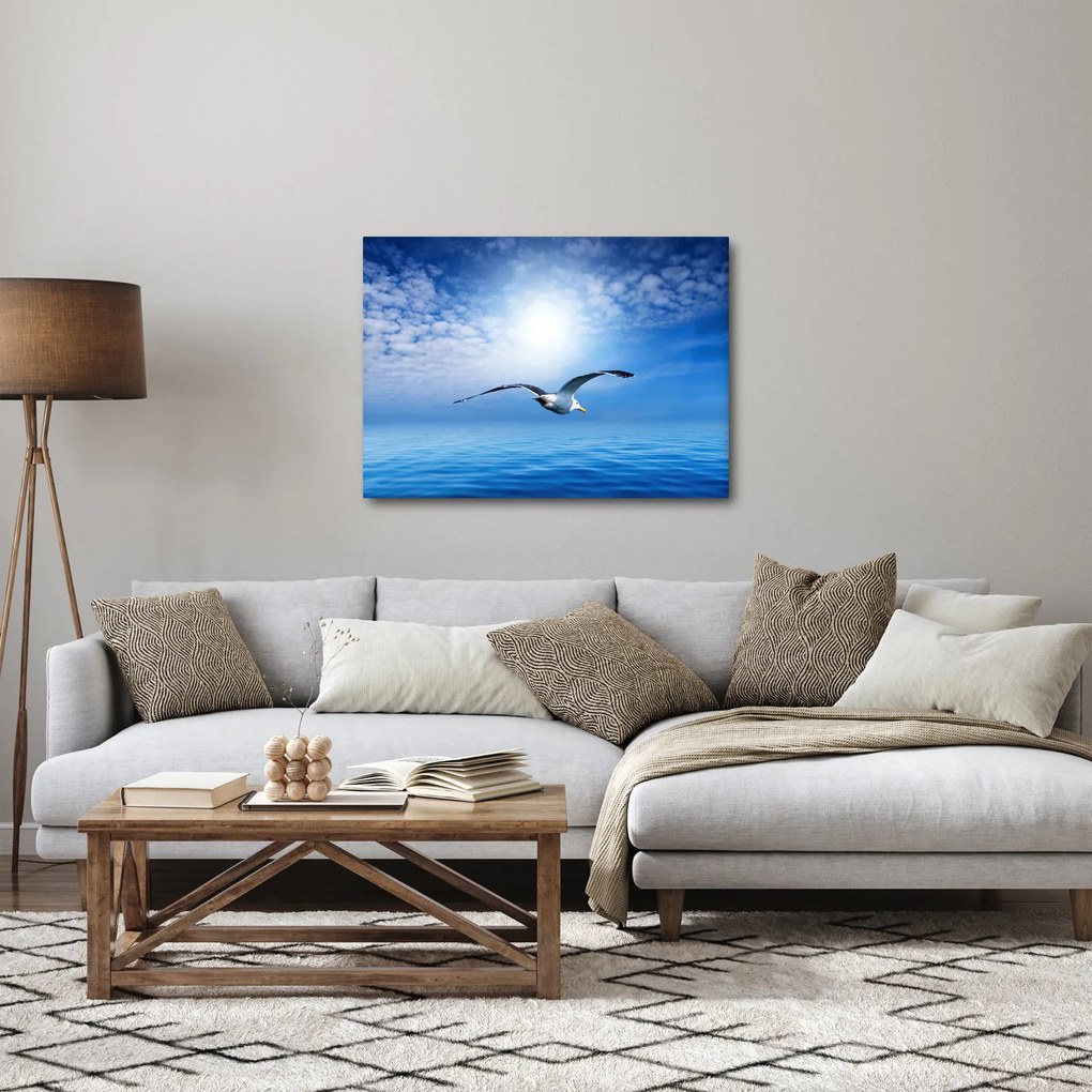 Obraz - Mewa nad morzem (70x50 cm)