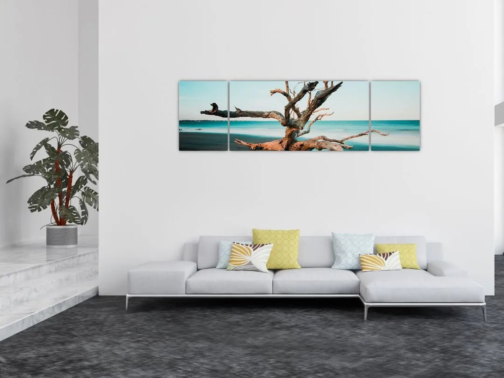 Obraz -  Wyłowiono na plaży (170x50 cm)