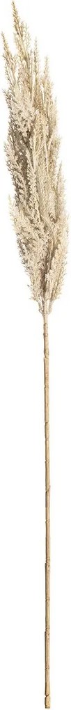 Gałązka Trawy Pampasowej 90cm cream