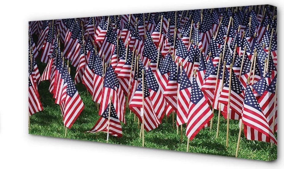 Obraz na płótnie Flagi Stanów Zjednoczonych