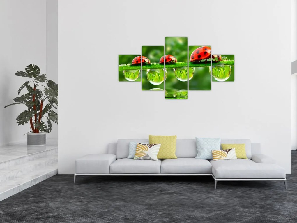 Obraz - Sunshine of the Seven Suns (125x70 cm)