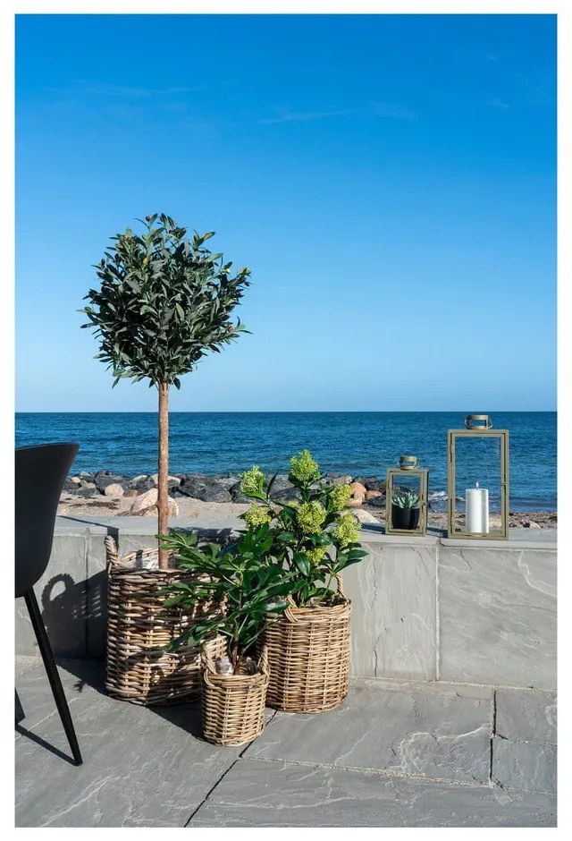 Sztuczna roślina (wysokość 60 cm) Fig – House Nordic