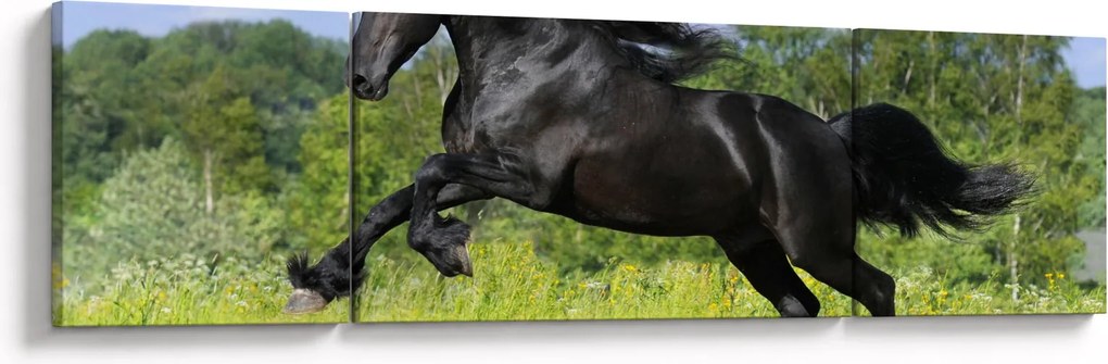 Obraz - Koń z płynącą grzywą (170x50 cm)