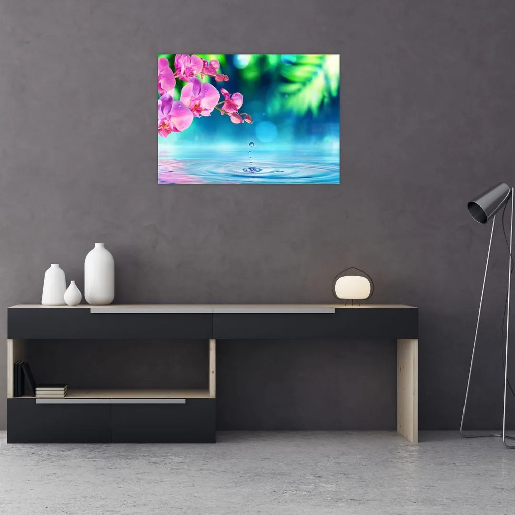 Obraz na szkle - Orchidea (70x50 cm)