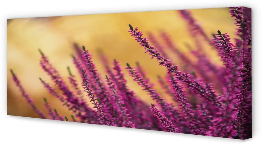 Obraz drukowany na płótnie Kwiaty