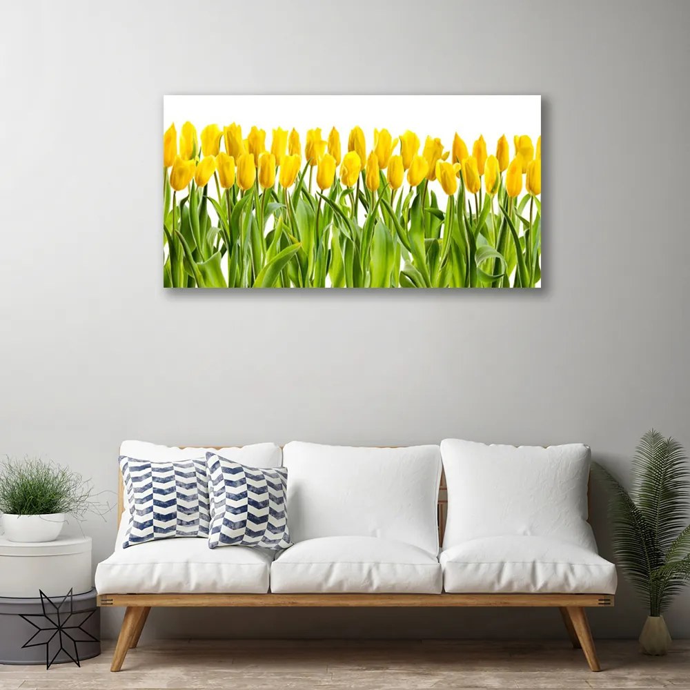 Obraz Canvas Tulipany Kwiaty Natura