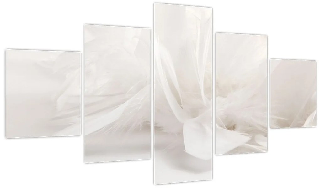 Obraz - Pióro (125x70 cm)
