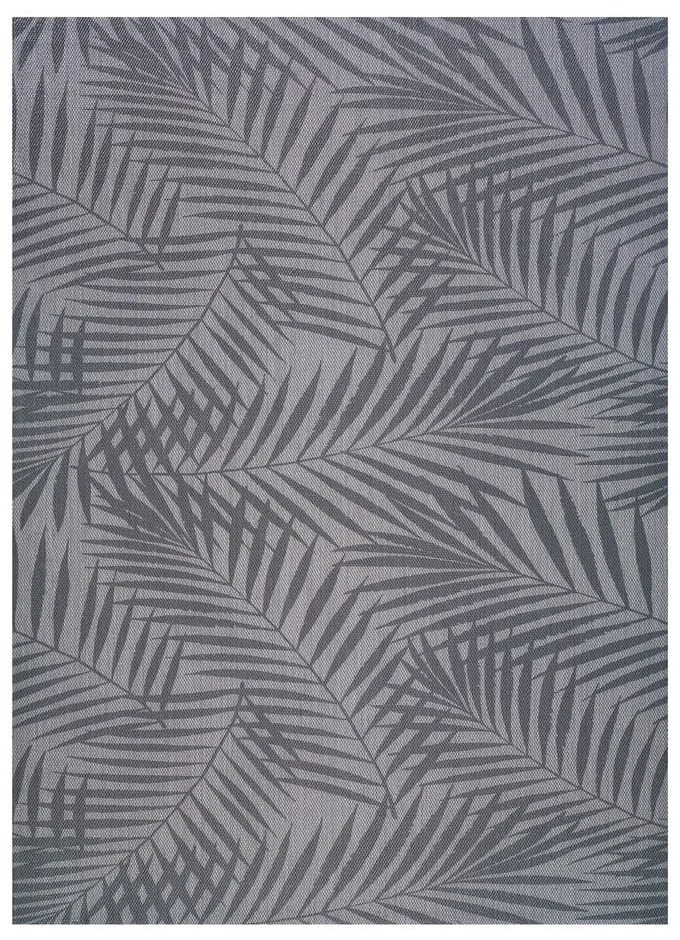 Szary dywan zewnętrzny Universal Palm, 160x230 cm