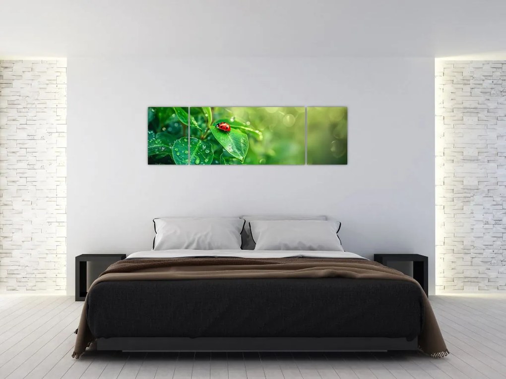 Obraz - Biedronka (170x50 cm)
