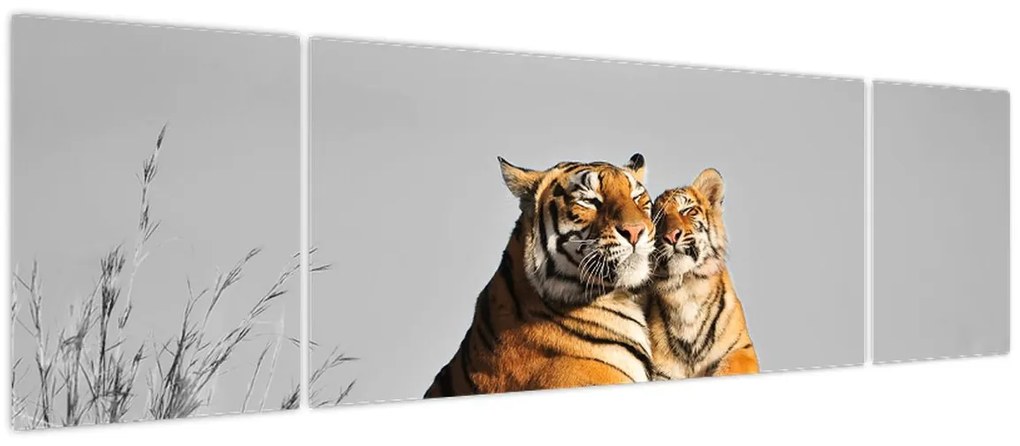 Obraz - Tygrysica i jej młode, wersja czarno - biała (170x50 cm)