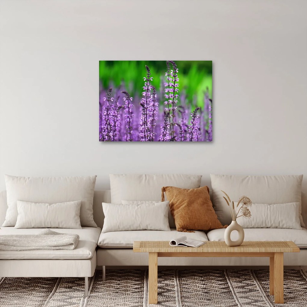 Obraz fioletowych kwiatów polnych (70x50 cm)
