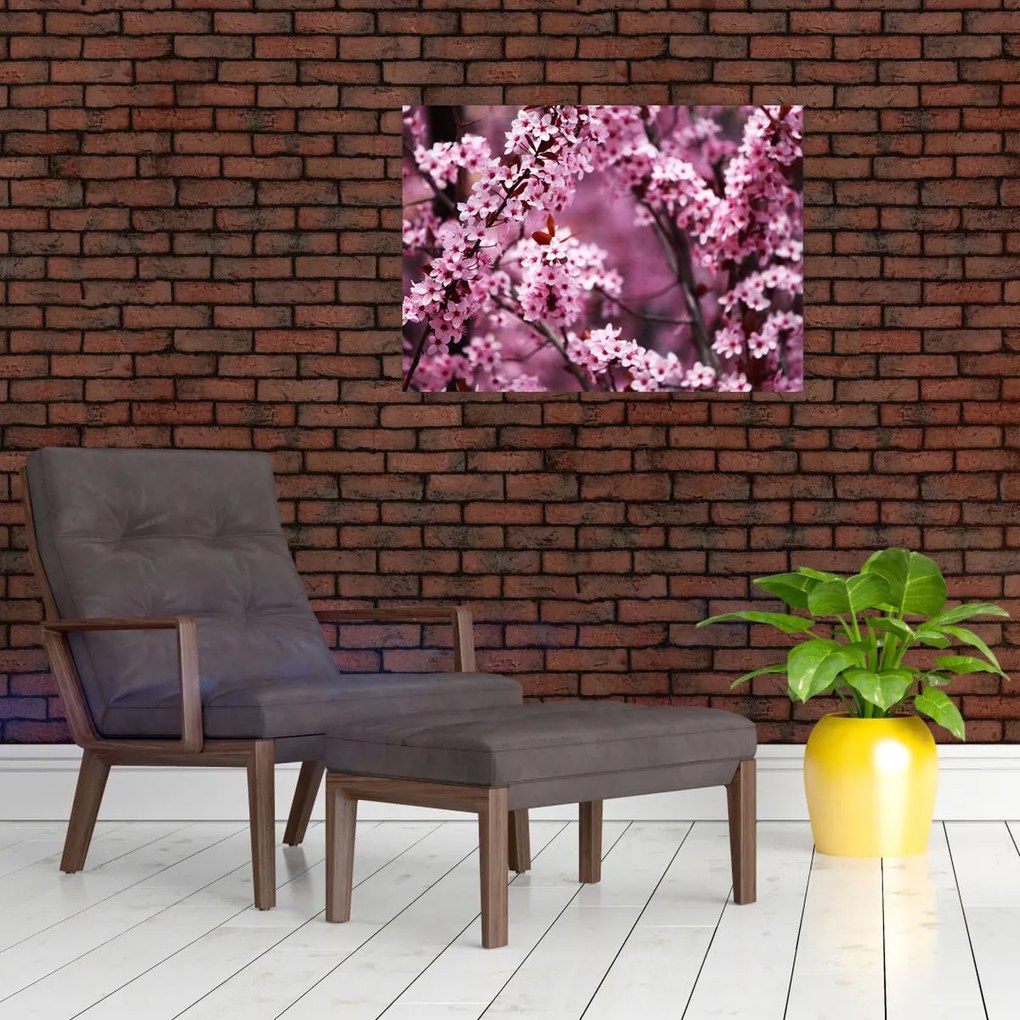 Obraz na szkle - Różowa sakura (70x50 cm)