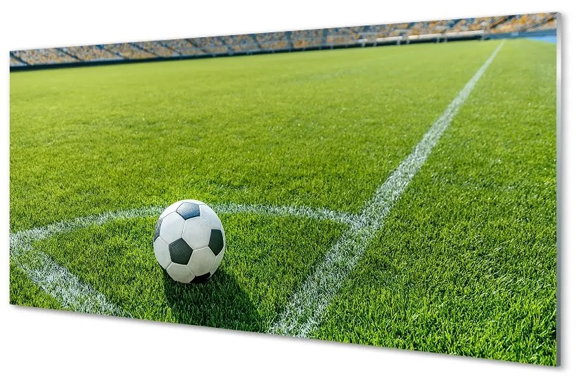 Obraz na szkle Stadion piłka trawa