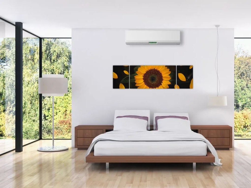 Obraz  - Słonecznik i płatki kwiatów (170x50 cm)