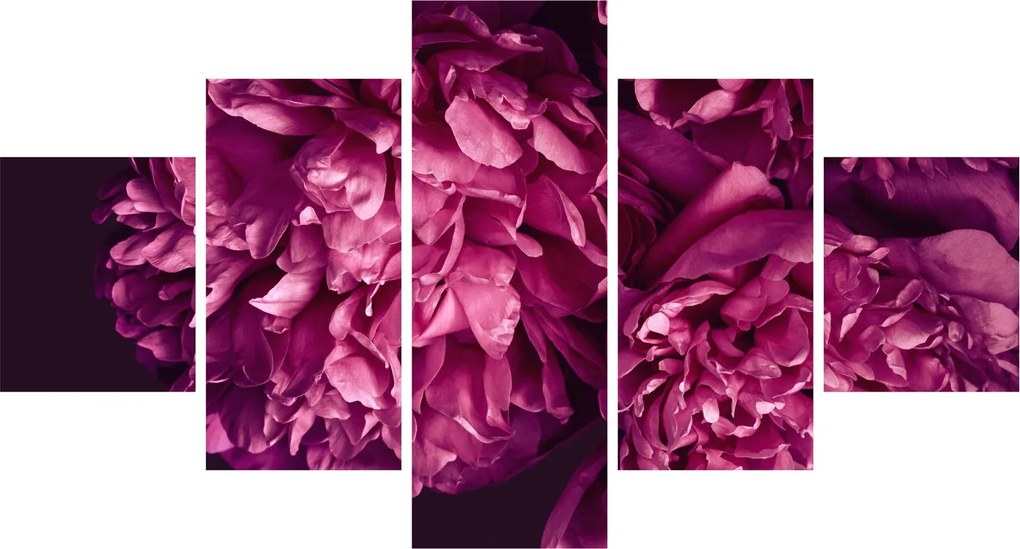 Obraz - Kwiaty piwonii (125x70 cm)