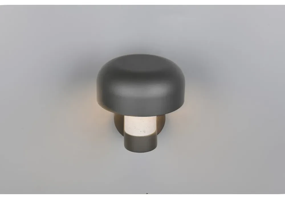 Zewnętrzna lampa ścienna (wysokość 24,5 cm) Fraser – Trio
