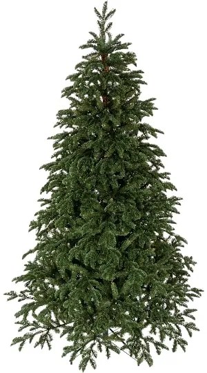 Choinka sztuczna PE Jodła Wdzięczna 240cm
