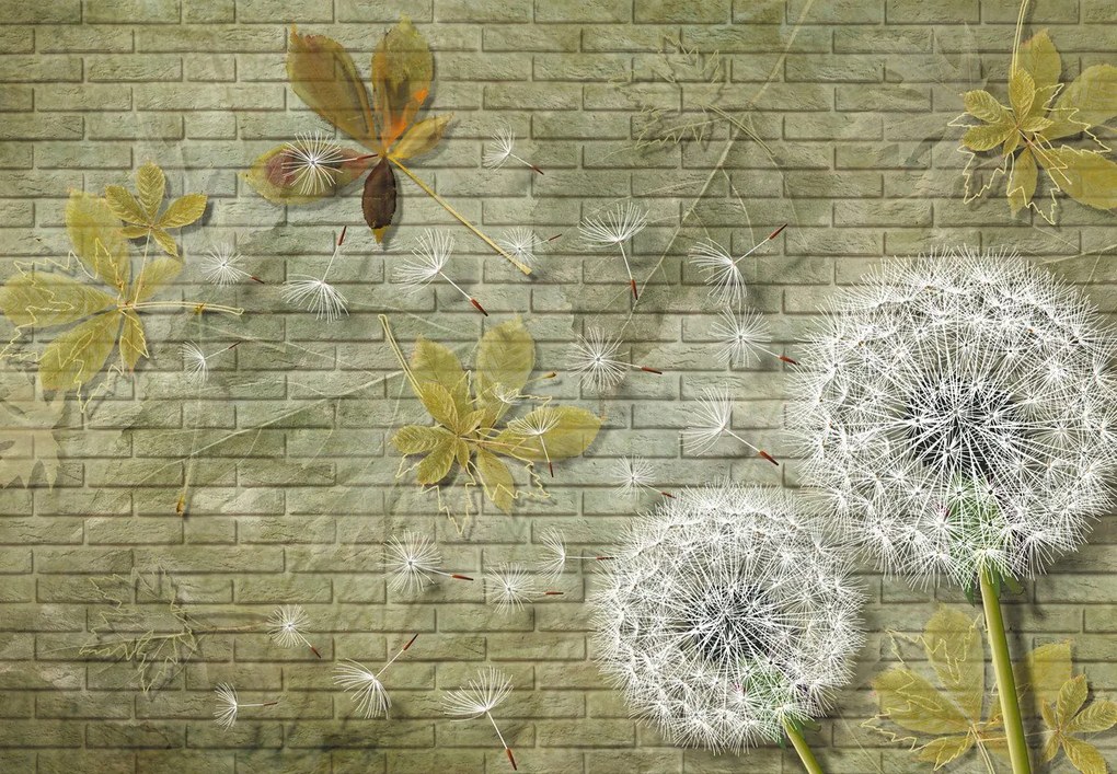 Fototapeta - Dmuchawce na wietrze (196x136 cm)