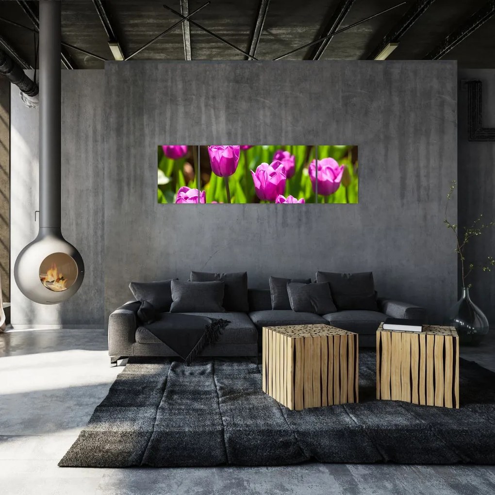 Obraz tulipanów na łące (170x50 cm)