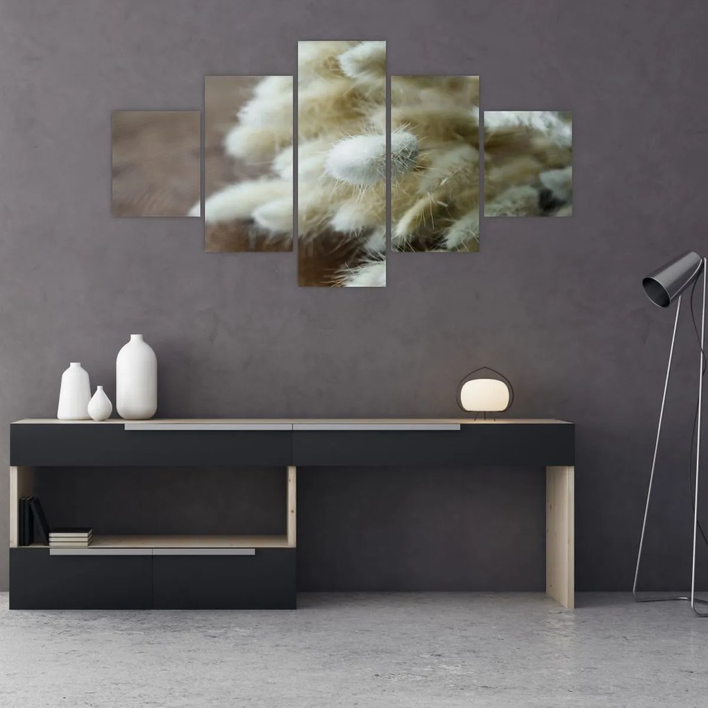 Obraz - Zajęczy ogonek (125x70 cm)
