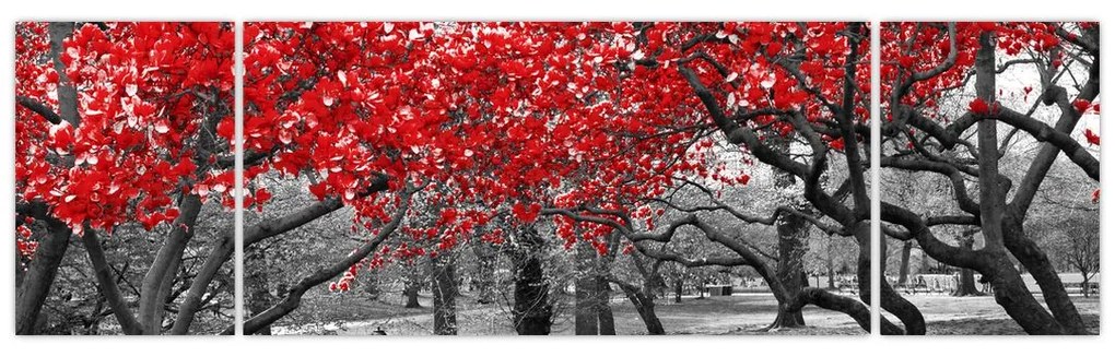 Obraz - Czerwone drzewa, Central Park, New York (170x50 cm)