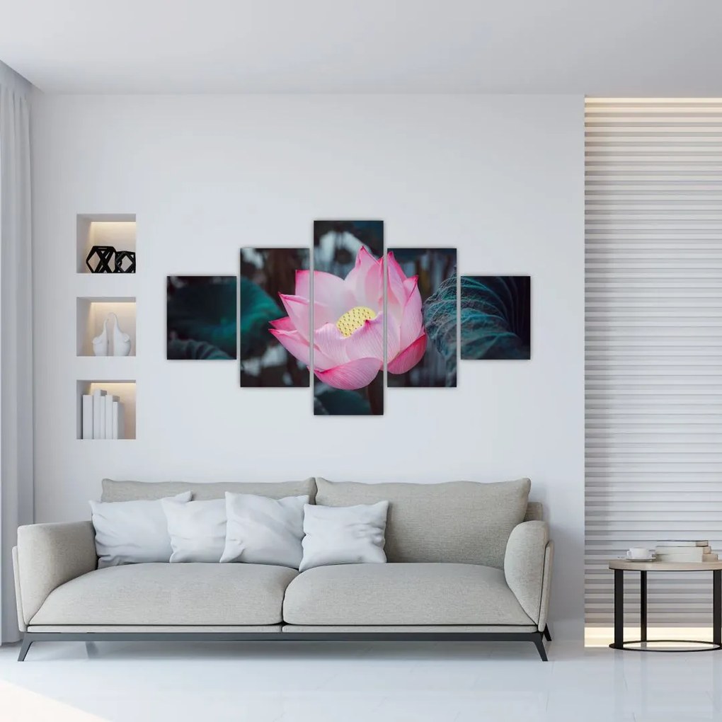 Obraz różowego kwiatu (125x70 cm)
