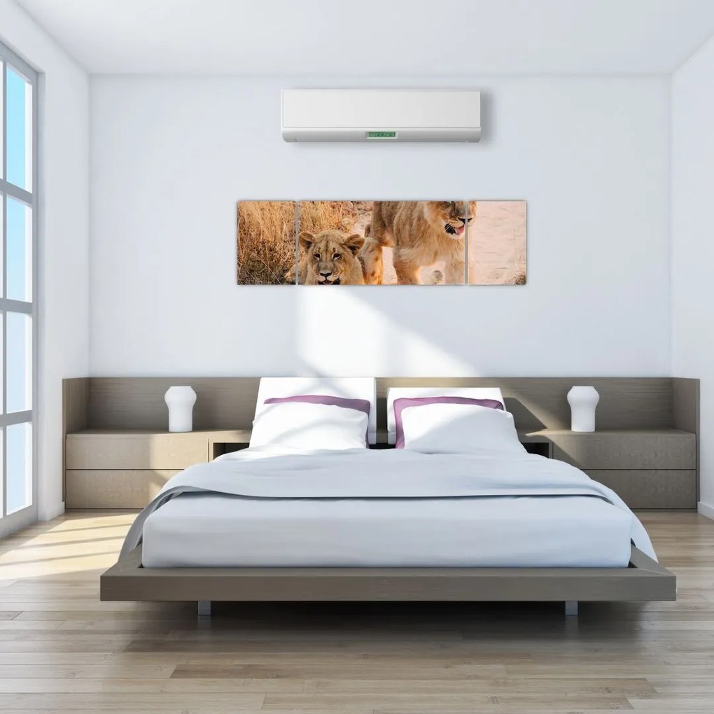 Obraz - Lwiątka (170x50 cm)