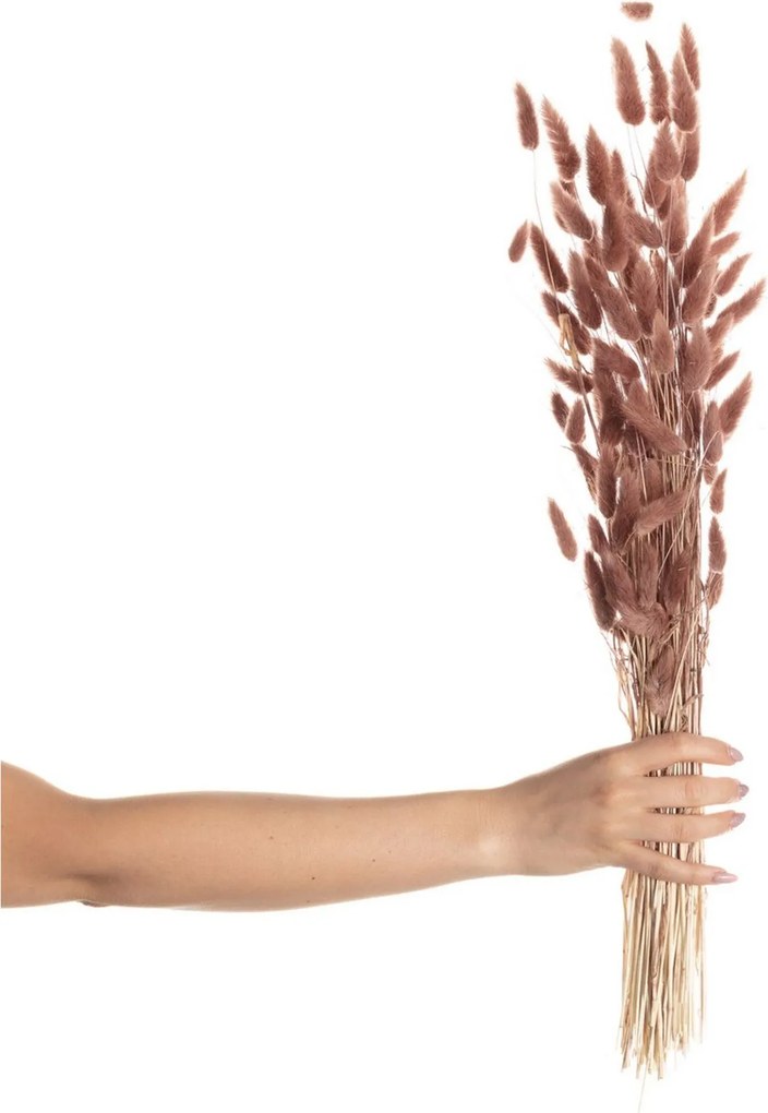 Bukiet Dmuszka 60cm dusty pink
