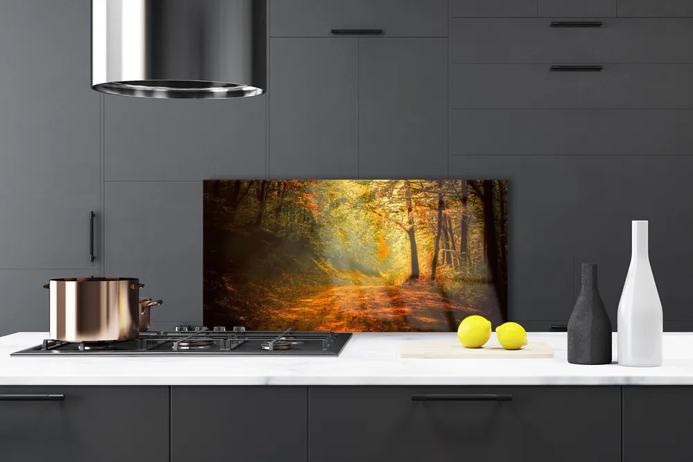 Panel Szklany Leśna Ścieżka W Słońcu