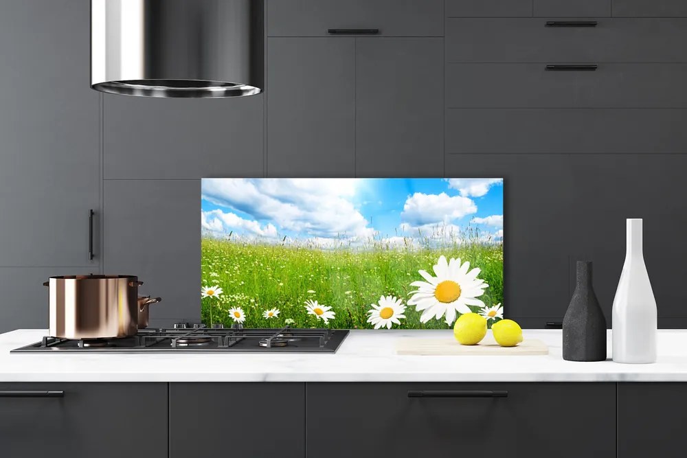 Panel Kuchenny Białe Stokrotki W Trawie