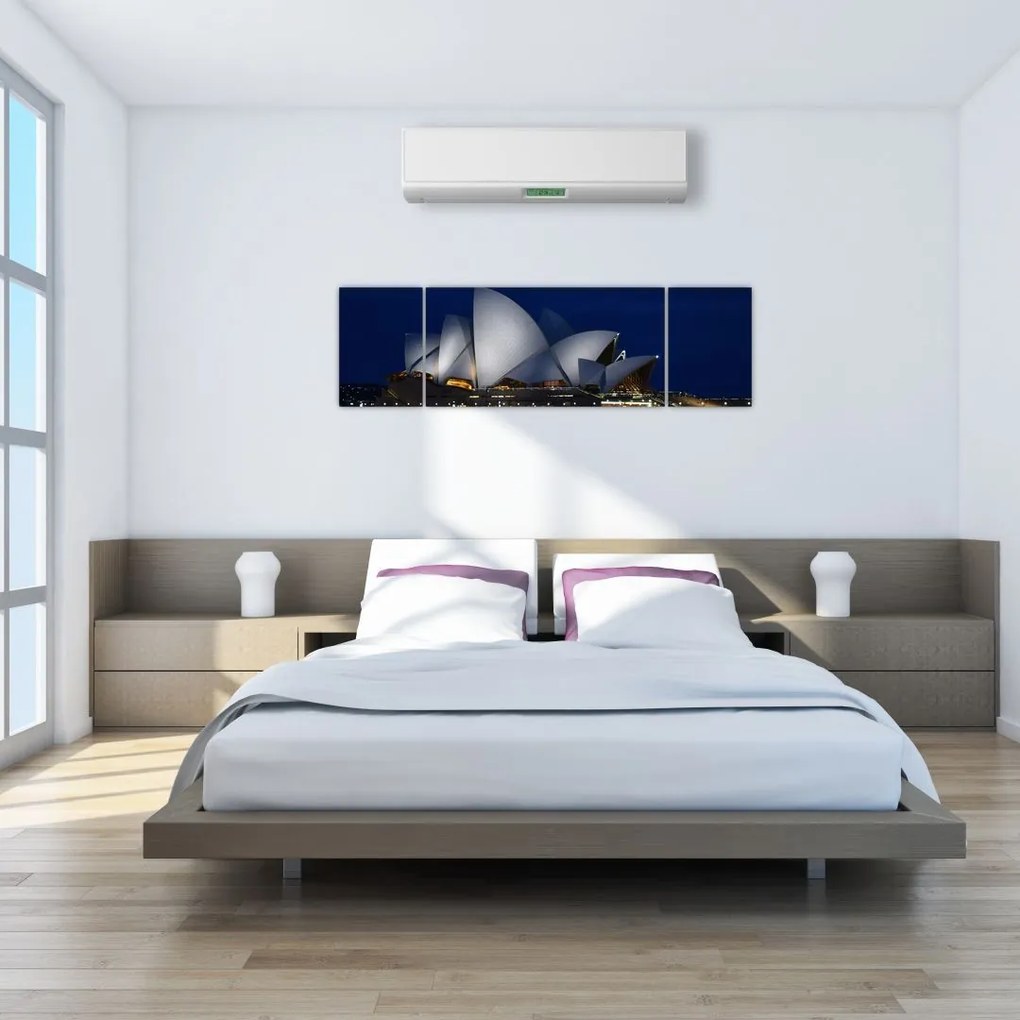 Obraz Sydney w nocy (170x50 cm)