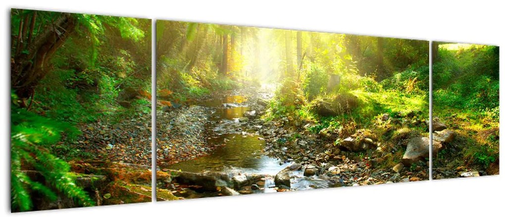 Obraz rzeki w zielonym lesie (170x50 cm)