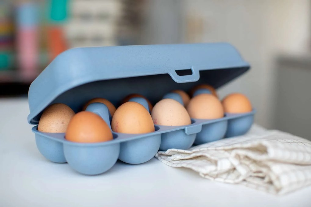 Pojemnik na jajka EGGS TO GO, na 10 jajek, KOZIOL