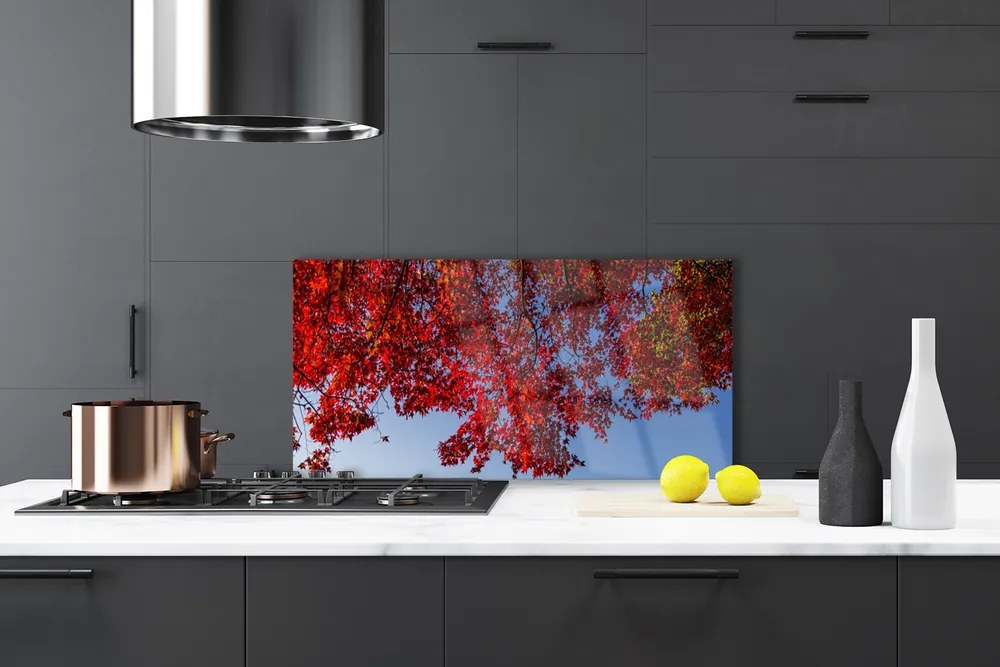 Panel Szklany do Kuchni Rozłożysta Korona Drzewa