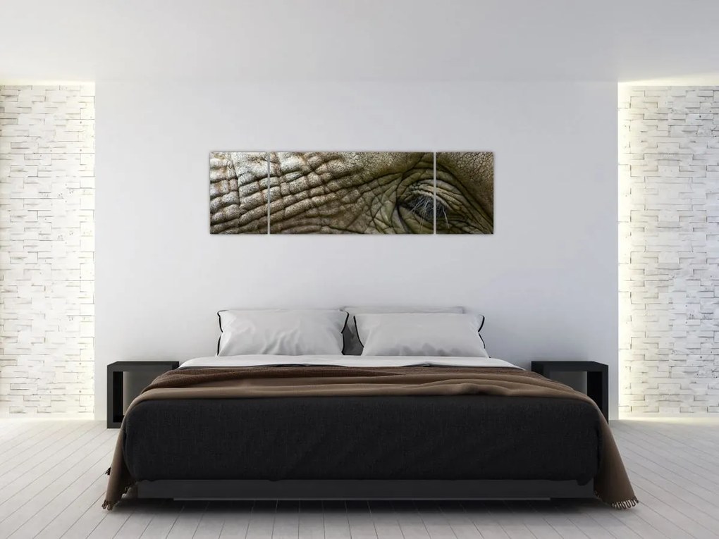 Obraz - Zbliżenie na stare oko słonia (170x50 cm)