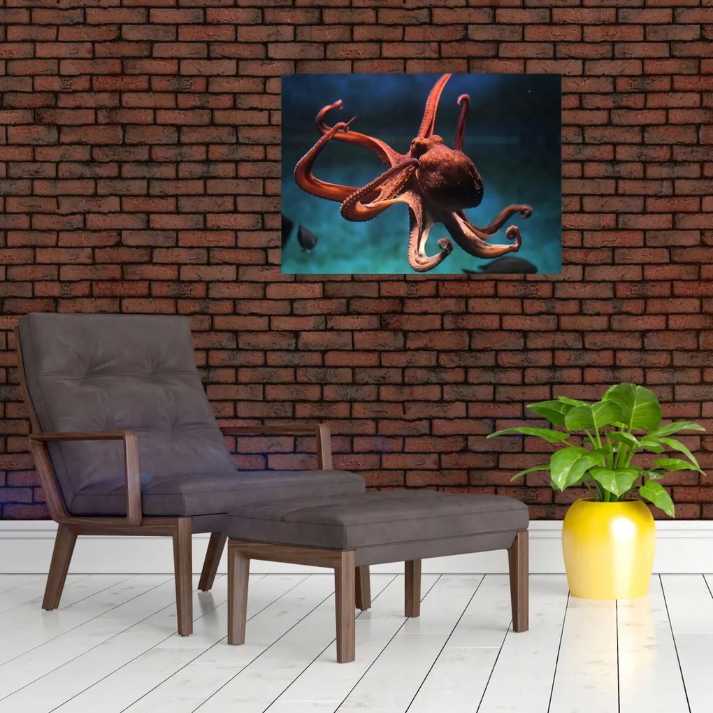 Obraz na szkle - Ośmiornica (70x50 cm)