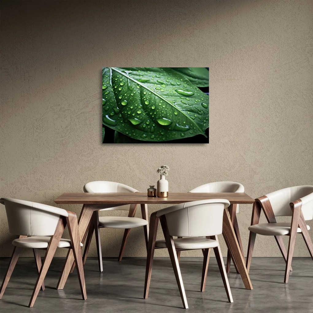 Obraz na szkle - Szczegół liścia po deszczu (70x50 cm)
